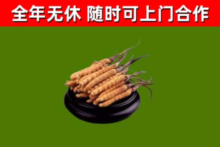 秦都区烟酒回收冬虫夏草.jpg